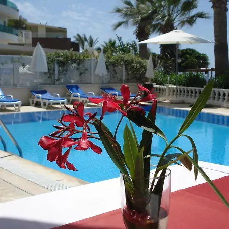 Bodrum Moonlight Тургутрейс